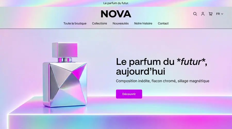 Modèle de boutique NOVA, Concept